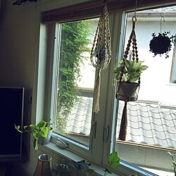 壁/天井/ポトス/観葉植物/植物/窓辺...などのインテリア実例 - 2015-07-25 14:37:24
