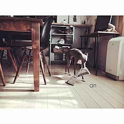 机/愛犬家/塩系インテリアの会/塩系インテリア/IKEA...などのインテリア実例 - 2016-07-25 12:34:52