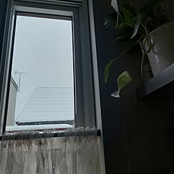 玄関/入り口/雪景色/観葉植物のある暮らし/観葉植物/ふゆじかんのインテリア実例 - 2024-01-08 10:16:40