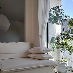 部屋全体/minimalism/シンプリスト/シンプルな暮らし/IKEA...などのインテリア実例 - 2024-05-16 11:04:03