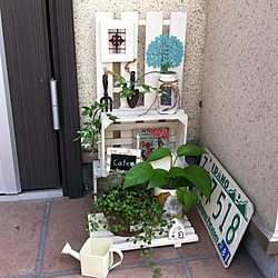 玄関/入り口/植物/雑貨のインテリア実例 - 2012-09-09 12:00:41
