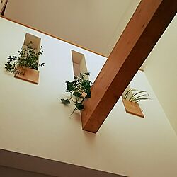 壁/天井のインテリア実例 - 2016-02-24 15:01:20