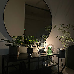 観葉植物/照明/IKEA/リビングのインテリア実例 - 2022-03-25 11:51:56