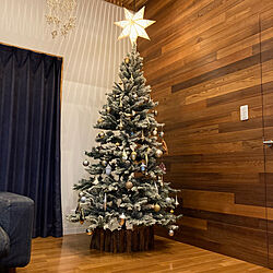ニトリのクリスマスツリー/ライティングレール取り付け/IKEAランプシェード/クリスマス/リビングのインテリア実例 - 2021-11-14 20:43:51