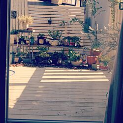 玄関/入り口/雑貨/植物/ウッドデッキ/DIY...などのインテリア実例 - 2013-06-04 15:41:40