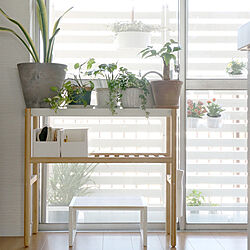観葉植物/IKEA/棚のインテリア実例 - 2022-03-16 10:45:30