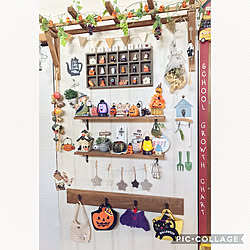 部屋全体/ここはナチュラルテイスト♡/ホワイトペイント♪/板壁DIY/ハロウィンBag✩...などのインテリア実例 - 2017-09-26 18:55:59