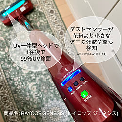 部屋全体/暮らしのハンドブック2022/掃除グッズ/除菌/コードレス...などのインテリア実例 - 2022-03-26 19:13:10