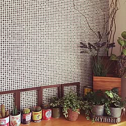 リビング/壁紙DIY/DIY/観葉植物/セリアのインテリア実例 - 2016-04-27 09:56:53