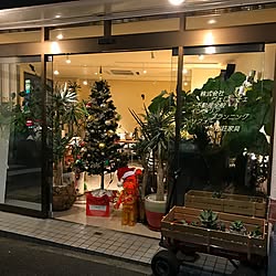 玄関/入り口/クリスマスディスプレイ/クリスマス/クリスマスツリー/アレッシィ...などのインテリア実例 - 2016-12-09 11:03:09