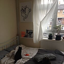 壁/天井/猫/黒猫/北欧/IKEA...などのインテリア実例 - 2015-02-11 00:03:42