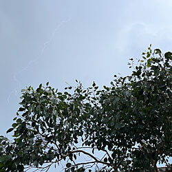 壁/天井/曇り空/雨雲/雷撮れた/雷のインテリア実例 - 2023-09-10 14:50:57