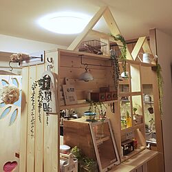 キッチン/セリア/DIY/観葉植物/100均のインテリア実例 - 2016-03-19 22:34:35