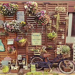 思い出の品再生/おもいで/自転車プランター/自転車を飾る/自転車はもうオブジェ...などのインテリア実例 - 2020-04-09 16:41:16