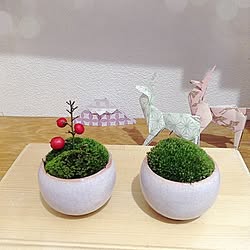 玄関/入り口/折り紙/お正月/植物/ハンドメイドのインテリア実例 - 2016-01-04 13:50:54