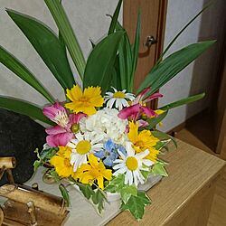 玄関/入り口/道に咲く花のインテリア実例 - 2016-06-01 16:18:38