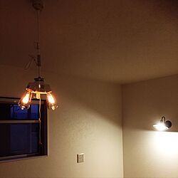 壁/天井/ニトリ/エジソン電球/階段照明のインテリア実例 - 2017-02-13 22:15:59