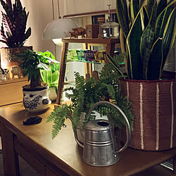 北欧インテリア/北欧ナチュラル/間接照明/北欧雑貨/Flowerpot Lamp...などのインテリア実例 - 2021-06-21 21:35:59