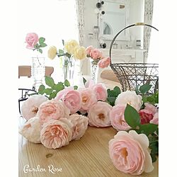 ベッド周りじゃないけども…/フラワーアレンジメント/薔薇が好き♡/花のある暮らし/鏡...などのインテリア実例 - 2016-10-27 07:57:34