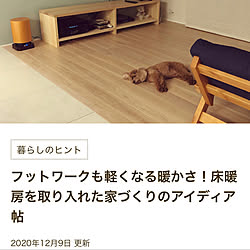 RoomClip mag/リビングのインテリア実例 - 2021-02-09 14:36:43