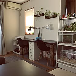 机/IKEAのデスク板/IKEA/DIY/IKEAの棚のインテリア実例 - 2017-05-08 14:42:14