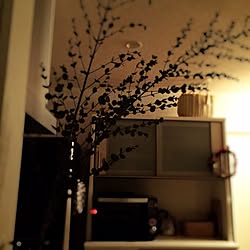 キッチン/ユーカリ/観葉植物のインテリア実例 - 2015-12-19 20:12:05