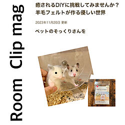 部屋全体/RoomClip mag 掲載のインテリア実例 - 2023-11-20 13:14:41