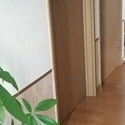 壁/天井/ダイソー/リメイクシートのインテリア実例 - 2016-08-03 23:08:00