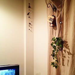 部屋全体/観葉植物/カーテンのインテリア実例 - 2014-06-24 20:44:55