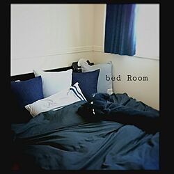ベッド周り/抱き枕のインテリア実例 - 2016-11-06 15:12:21