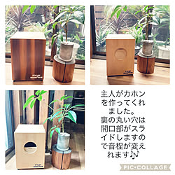 壁/天井/カホンDIY/観葉植物/観葉植物と暮らす/ナチュラル...などのインテリア実例 - 2022-07-06 17:14:17