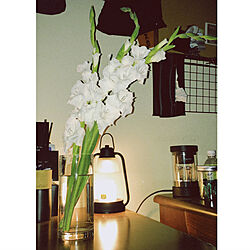 花瓶/お花のある暮らし/くつろぎ空間/キャンドルウォーマー/ホテルライクに憧れる...などのインテリア実例 - 2023-04-02 00:44:44