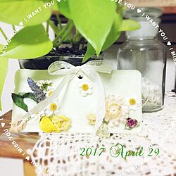 机/若く無いけど頑張り隊/お花大好き❁❀✿✾/ディスプレイのセンスが欲しい/花のある暮らし...などのインテリア実例 - 2017-04-29 22:21:37