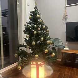 観葉植物/クリスマス/IKEA 照明/フィロデンドロン ロジョコンゴ/ツリー...などのインテリア実例 - 2021-12-04 21:17:29