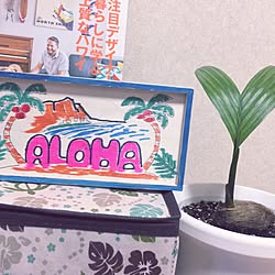 ベッド周り/スーパービバホーム/Hawaiian/観葉植物/ホームセンターで購入...などのインテリア実例 - 2016-12-12 02:25:37