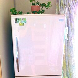 キッチン/冷蔵庫のインテリア実例 - 2012-06-24 13:23:33