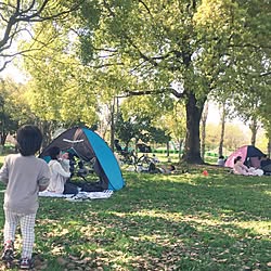 ピクニック/インテリアじゃなくてごめんなさい/こどもと暮らす/公園/休日...などのインテリア実例 - 2017-04-17 11:19:09