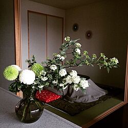 部屋全体/無印良品こたつ/こたつ/和室　/アクタスの花瓶...などのインテリア実例 - 2015-07-05 21:30:17