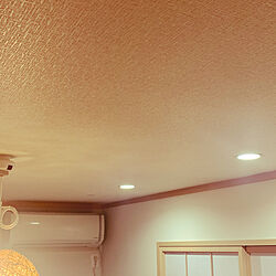 ダウンライトLED/⭐️フォロー 大歓迎⭐️/ねこと暮らす/DIY/壁/天井のインテリア実例 - 2020-01-05 21:04:01