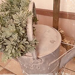 玄関/入り口/antique/植物のインテリア実例 - 2014-02-17 15:03:55
