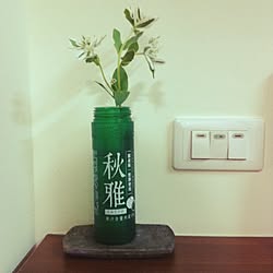 玄関/入り口/品東西家具/植物のインテリア実例 - 2014-09-23 23:02:34