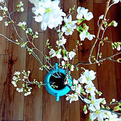 机/桜買ったよ/名画に習う/花咲くアーモンドの木の枝がテーマ/床に置いて上からアングルも...などのインテリア実例 - 2023-03-17 22:27:50