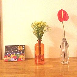 リビング/植物/花瓶のインテリア実例 - 2013-11-14 19:54:49