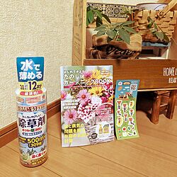 ガーデニングが好き/ガーデニング/植物のある暮らし/除草/アースガーデン...などのインテリア実例 - 2024-04-02 23:15:50