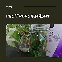 チンキ/ハーブ/レモングラス/ＤＩＹ/家庭菜園のインテリア実例 - 2021-07-02 17:05:47