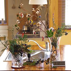 机/クリスマスディスプレイ/庭の植物たち/フローラ/クリスマス...などのインテリア実例 - 2015-12-05 17:15:15