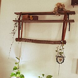 棚/DIY/植物のインテリア実例 - 2016-03-22 22:34:16