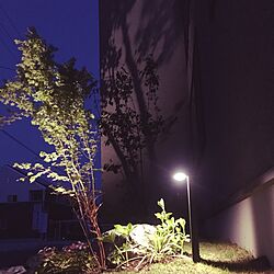 部屋全体/カインズ/DIY/ガーデニング/照明のインテリア実例 - 2017-05-06 19:52:18