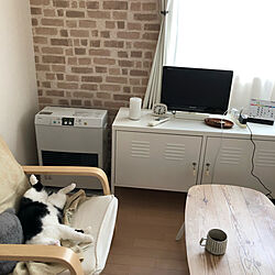 ねこのいる日常/シンプルな部屋が好き/ねこと暮らす。/ナチュラル/譲渡会保護猫...などのインテリア実例 - 2020-12-16 13:40:05