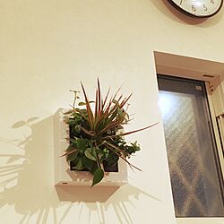 リビング/ミドリエ midorie/壁にかけられる観葉植物のインテリア実例 - 2017-05-11 18:50:24